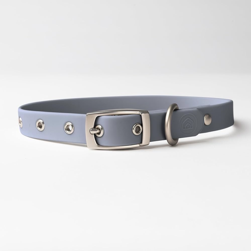(Md) DIGGS Waterproof Dog Collar - Nylon